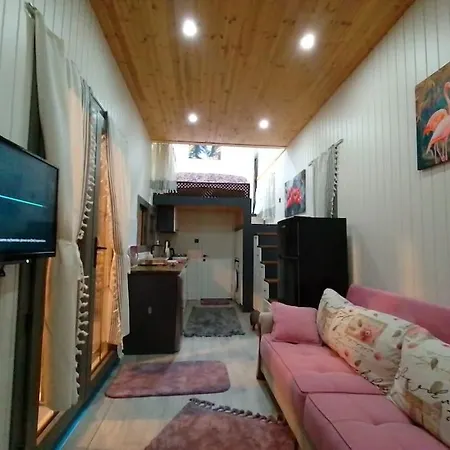 Moonlight Tiny House * דלמן