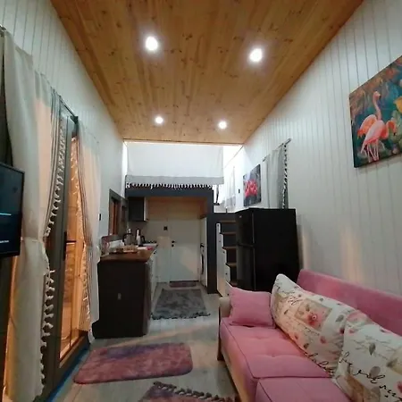 Moonlight Tiny House Vakantiehuis